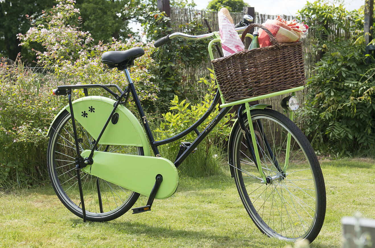 Lackiertes Fahrrad auf Wiese