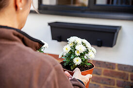 Window flower box W590 5D  336  LowRes