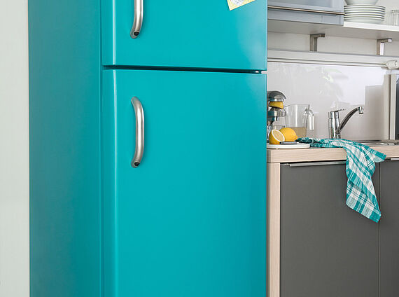 Paint refrigerator