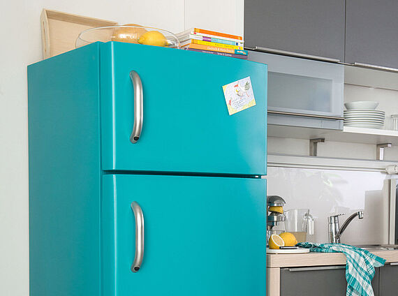 Paint refrigerator