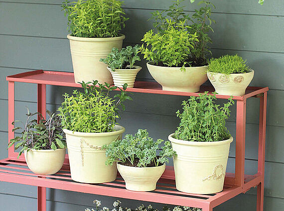 Plant stand