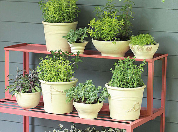 Plant stand