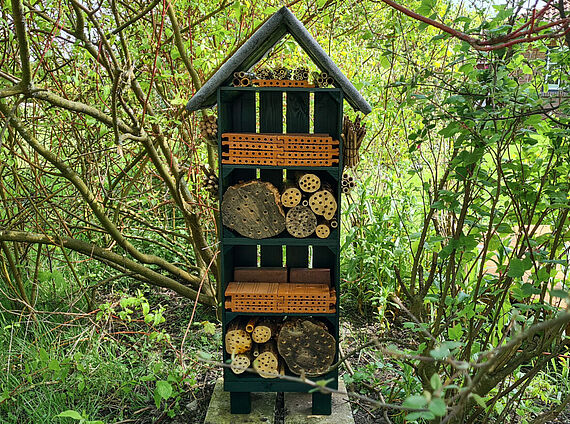 Build your own insect hotel