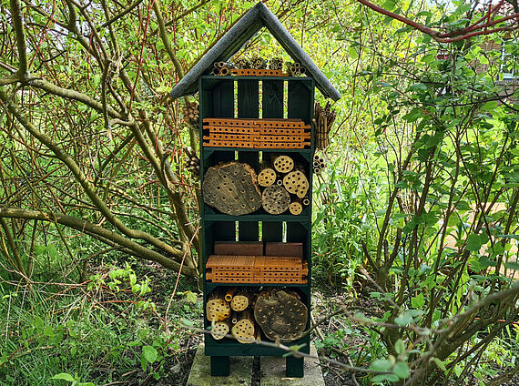 Insektenhotel selber bauen