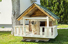 Hundehütte selber bauen image00013ret