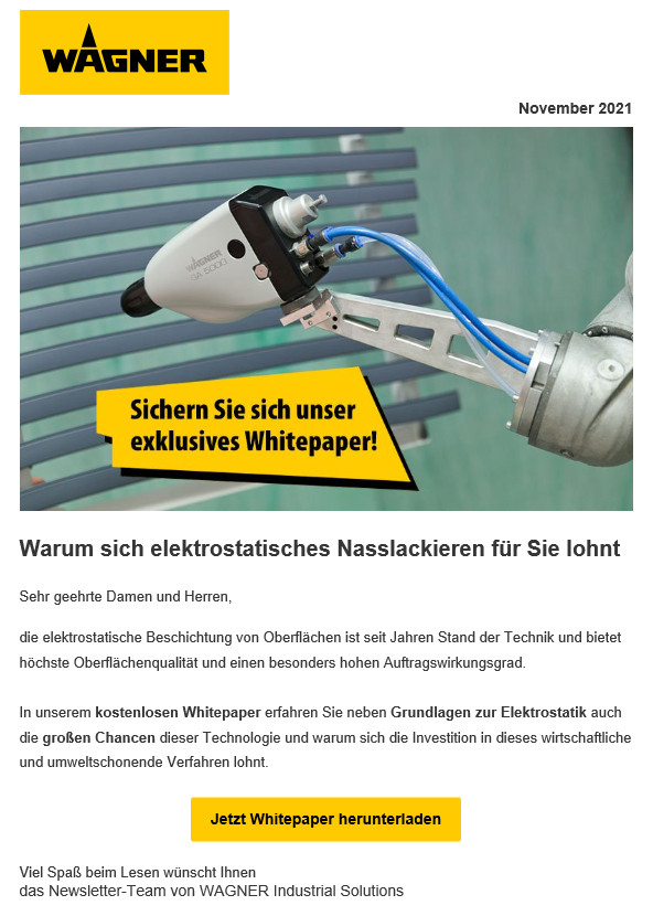 Newsletter 11 2021