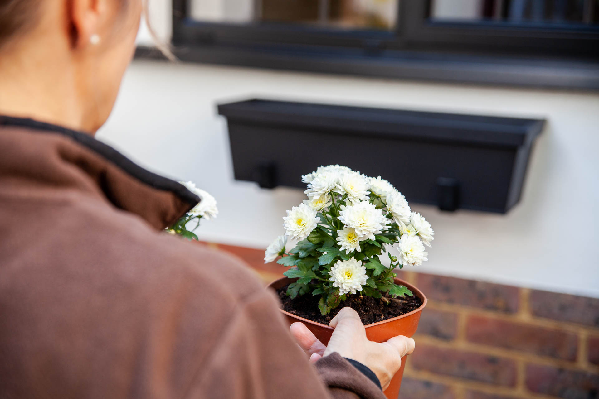 Window flower box W590 5D 336 LowRes